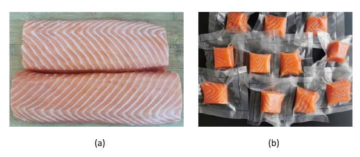 上海腾拔质构仪助力哈尔滨商业大学发表关于大西洋鲑鱼的国际期刊论文