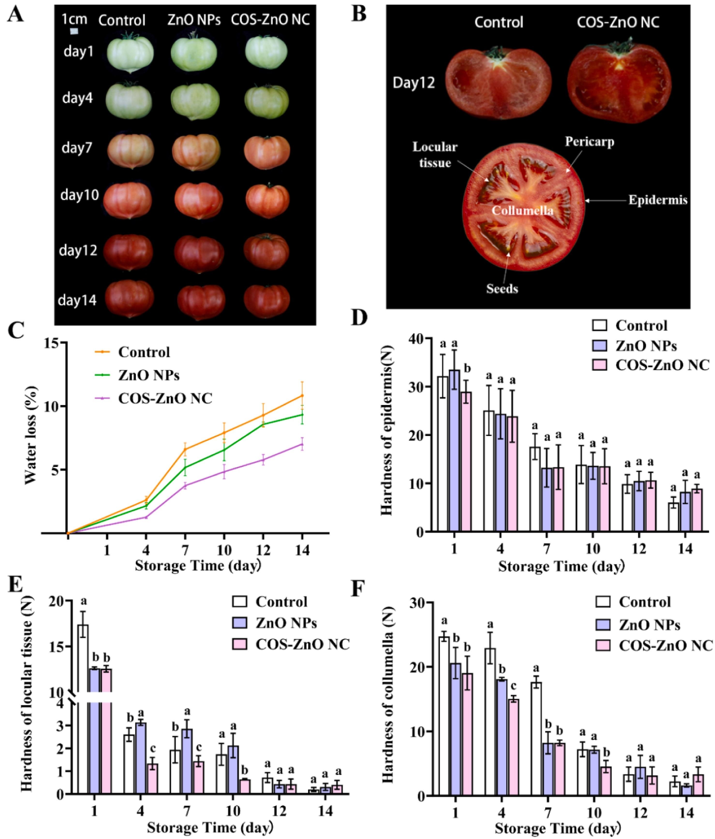 上海腾拔质构仪助力浙江大学在Food Chemistry发表关于番茄的期刊论文