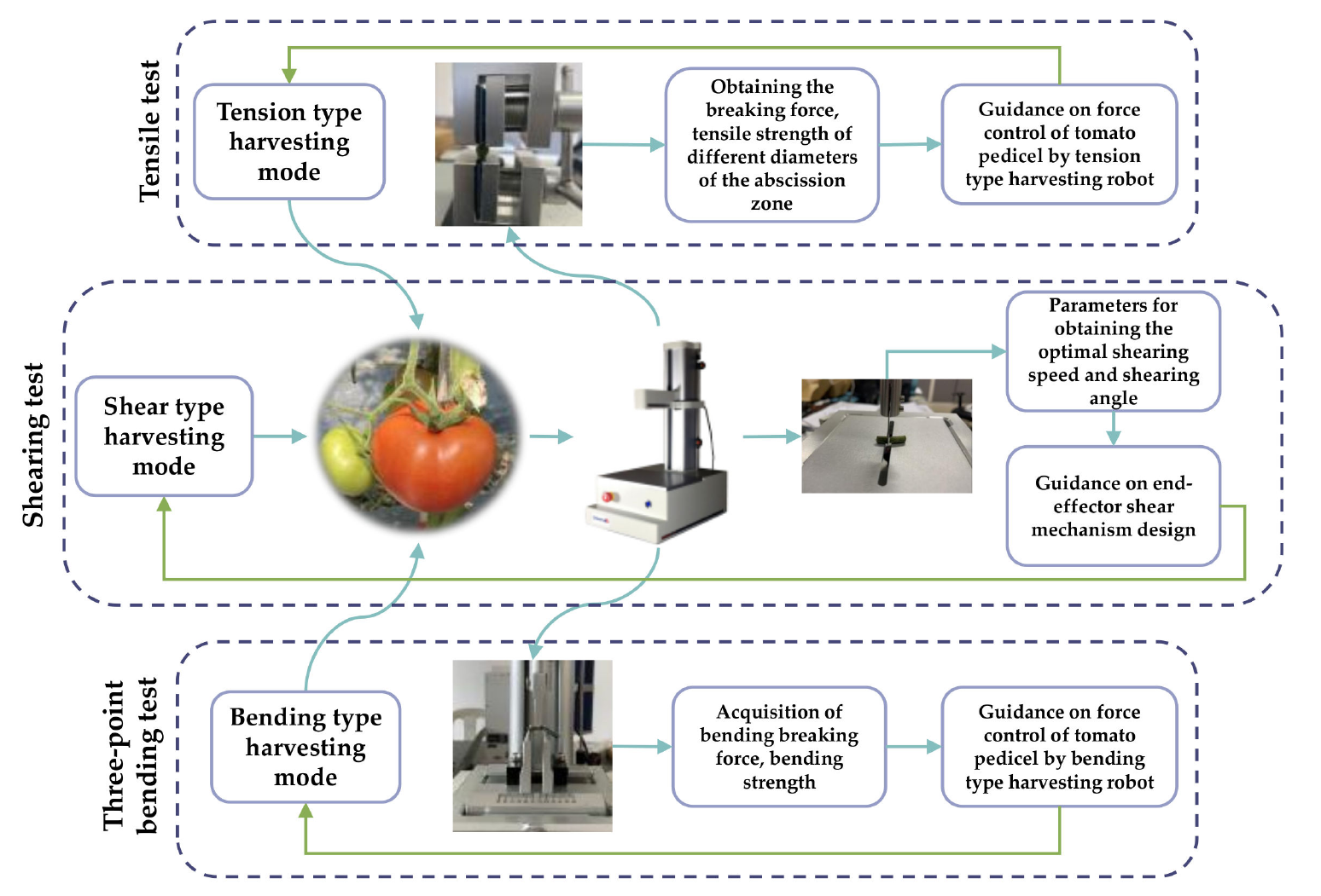 上海腾拔质构仪助力福建农林大学发表关于番茄果柄的国际期刊论文