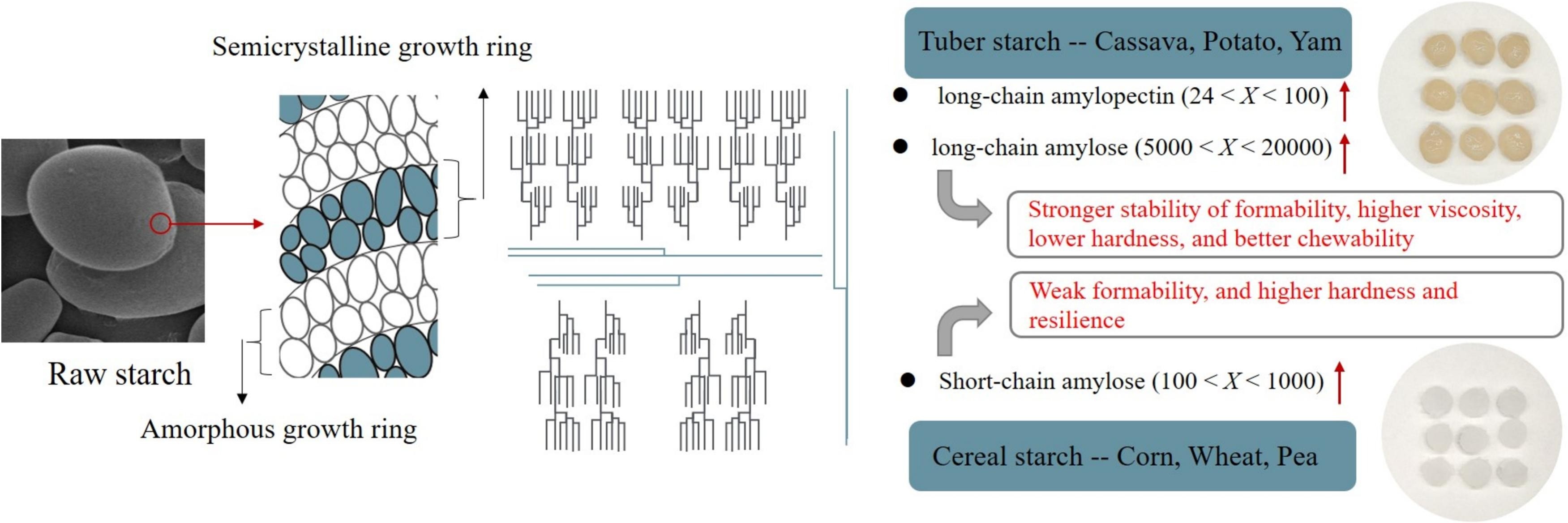 珍珠奶茶中的珍珠哪种口感好?上海腾拔质构仪助力浙江大学给出答案